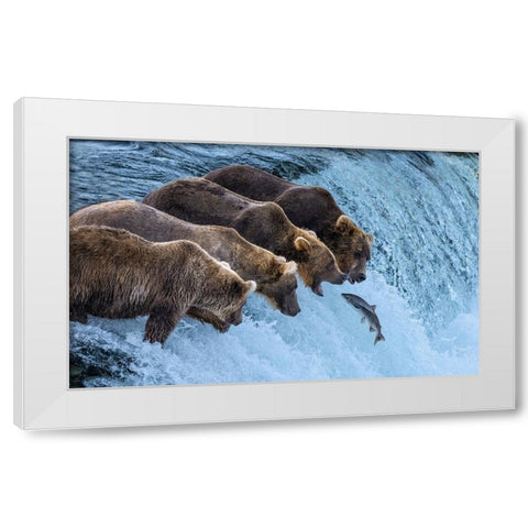 No Chance For Salmon Run White Modern Wood Framed Art Print by Pingwei Pan, Joy