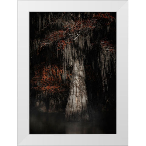 Cypress Tree White Modern Wood Framed Art Print by Lu, Linda