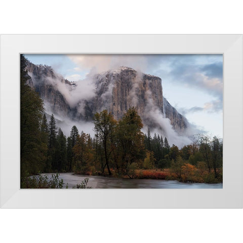Fall Color In Mist White Modern Wood Framed Art Print by Shi, Mei