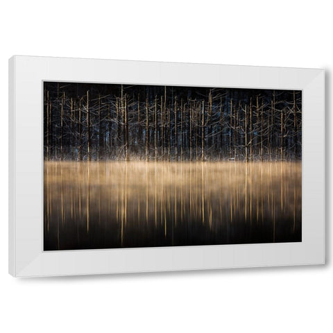 Cuejdel Lake White Modern Wood Framed Art Print by Mirica, Dan