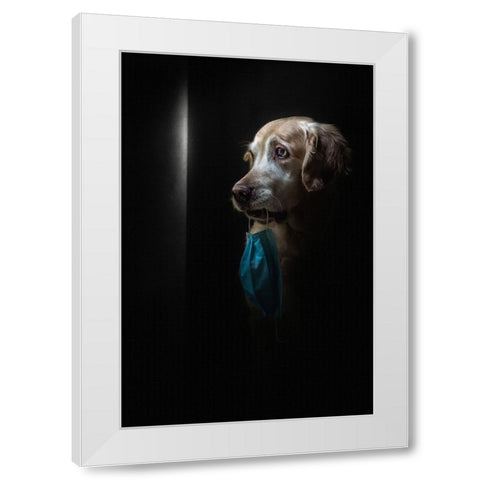 Stay Safe White Modern Wood Framed Art Print by Fidanza, Toni