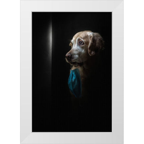 Stay Safe White Modern Wood Framed Art Print by Fidanza, Toni