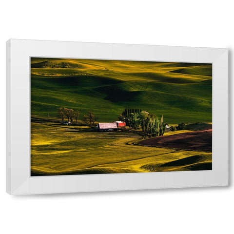 Palouse Wheat Fields White Modern Wood Framed Art Print by Dickau, Kristel