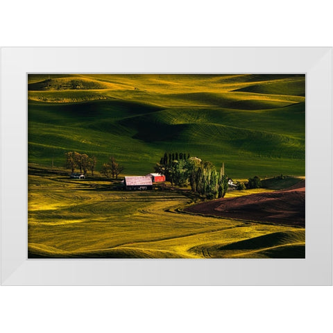 Palouse Wheat Fields White Modern Wood Framed Art Print by Dickau, Kristel