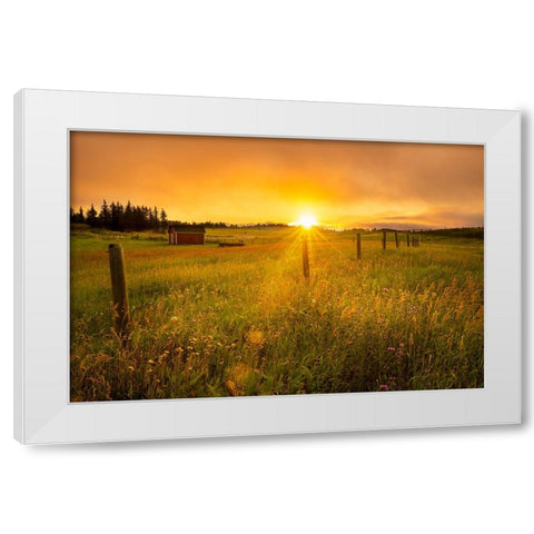 The Sun Is Rising White Modern Wood Framed Art Print by Yu, Wenjin