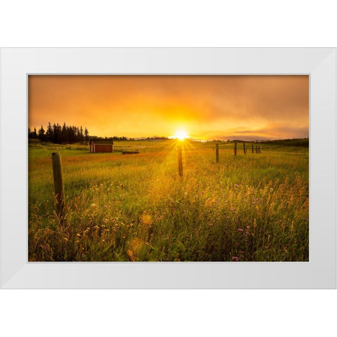 The Sun Is Rising White Modern Wood Framed Art Print by Yu, Wenjin