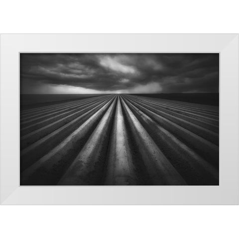 In Flanders Fields White Modern Wood Framed Art Print by Stas, Marie-Anne
