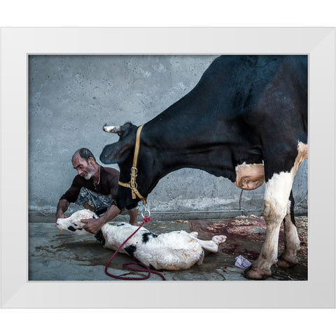Welcome To The Cruel World White Modern Wood Framed Art Print by Bahmani, Mitra