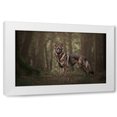 WhoS Afraid? White Modern Wood Framed Art Print by Kuplenk, Nika