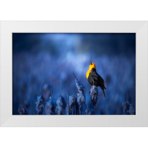 Sing A Song White Modern Wood Framed Art Print by Zhao, Alex