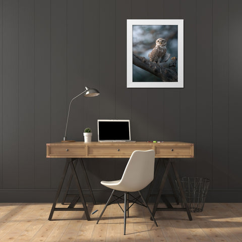 The Wise Of The Jungle White Modern Wood Framed Art Print by Rawat, Chaitanya