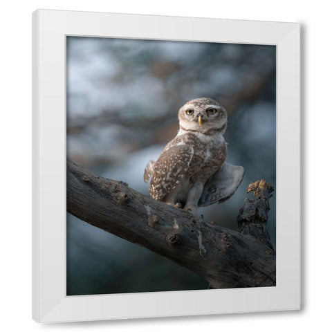 The Wise Of The Jungle White Modern Wood Framed Art Print by Rawat, Chaitanya