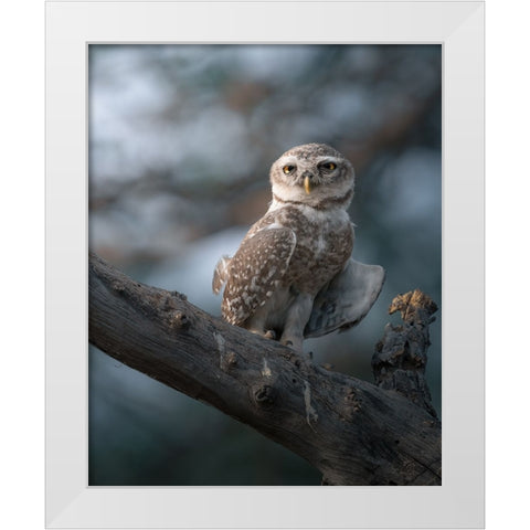 The Wise Of The Jungle White Modern Wood Framed Art Print by Rawat, Chaitanya