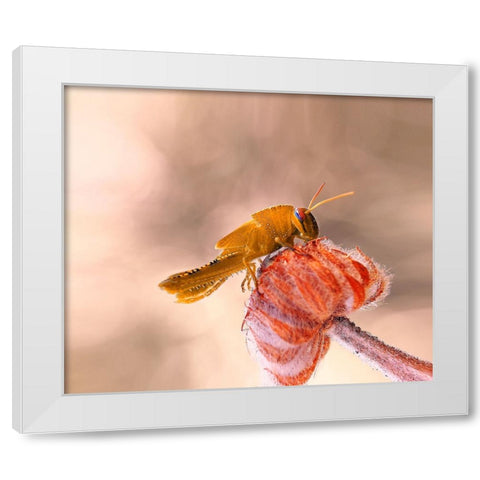 Hamburger For The Meal... White Modern Wood Framed Art Print by Dufour, Thierry