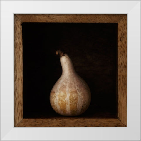 Gourd In A Box White Modern Wood Framed Art Print by Gronkjar, Lotte
