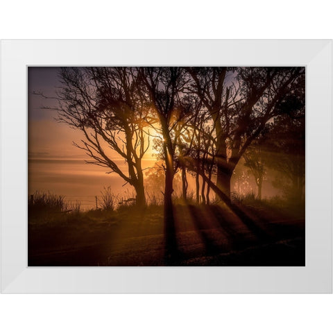 Sunrise Over Morning Mist White Modern Wood Framed Art Print by Ma, Frank