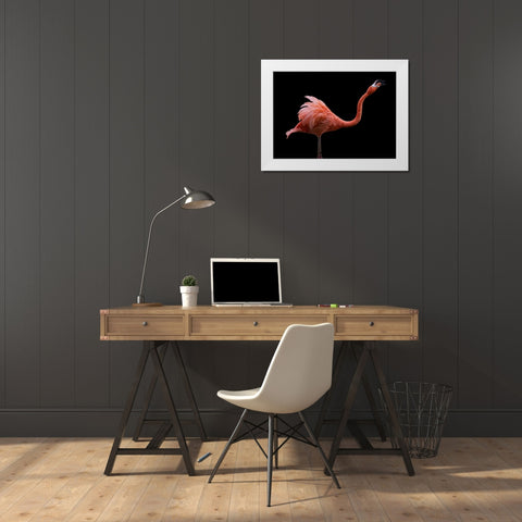 Flamingo White Modern Wood Framed Art Print by Tsikiridis, Georgios