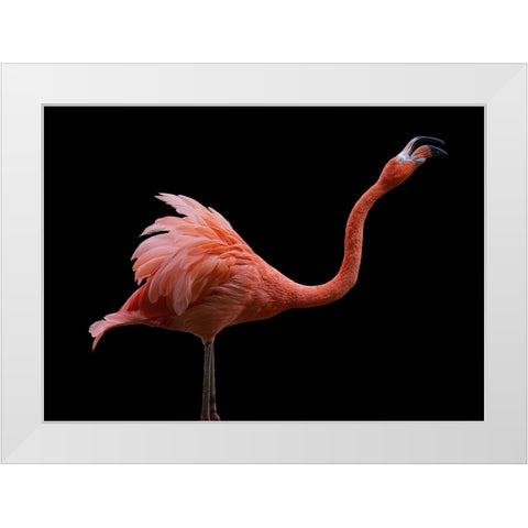 Flamingo White Modern Wood Framed Art Print by Tsikiridis, Georgios