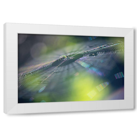 Colorful Dream White Modern Wood Framed Art Print by Deng, Ivy