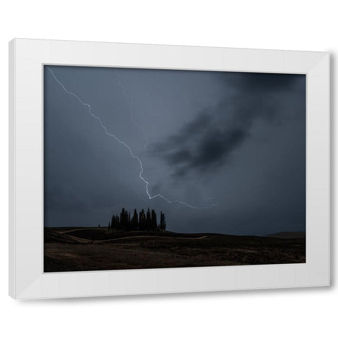 Cipressini Fulminati White Modern Wood Framed Art Print by Domenichi, Luca