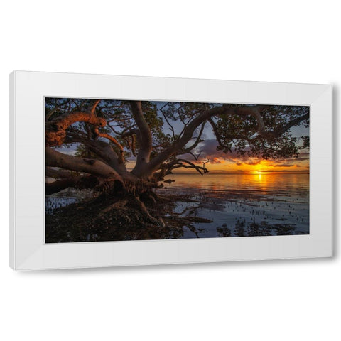 Sunrise At Nudgee Beach White Modern Wood Framed Art Print by Papamanolis, Emanuel