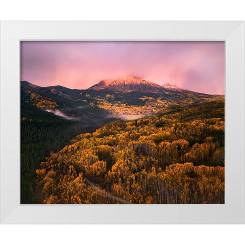 Concert Of Fall White Modern Wood Framed Art Print by Fan, John