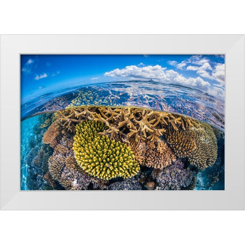 At Low Tide White Modern Wood Framed Art Print by Gabriel, Barathieu