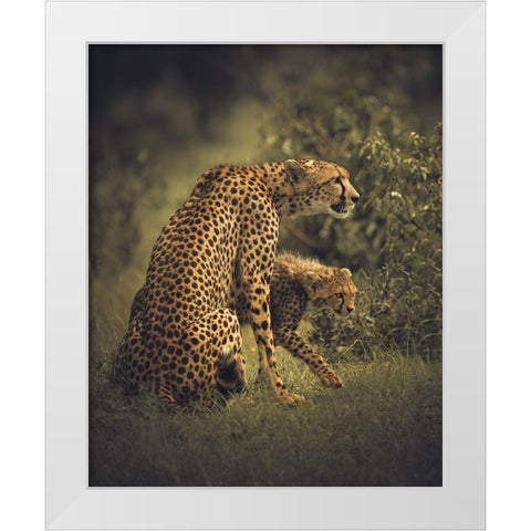 Backbone White Modern Wood Framed Art Print by Sobhi, Ahmed