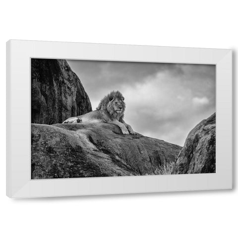 The King! White Modern Wood Framed Art Print by Khataw, Ali