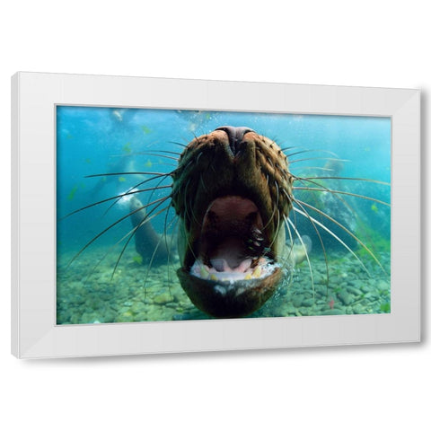 Just Kiss White Modern Wood Framed Art Print by Narchuk, Andrey