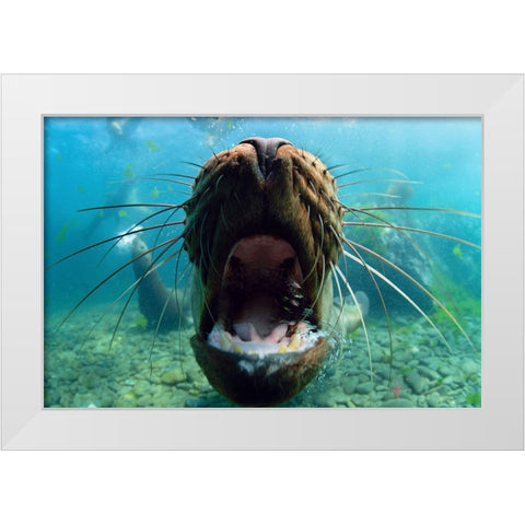 Just Kiss White Modern Wood Framed Art Print by Narchuk, Andrey