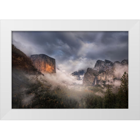 After Rain White Modern Wood Framed Art Print by Donnahom