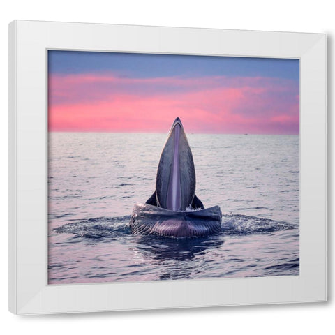 BrydeS Whale Jaws White Modern Wood Framed Art Print by Tan Tuan, Nguyen