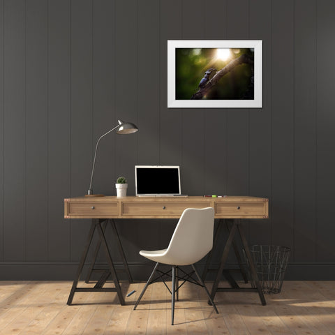 Way To The Sun White Modern Wood Framed Art Print by Bykanova, Victoria