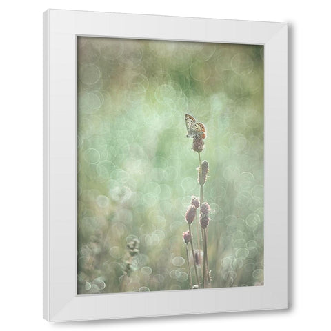 Bubbleliscious White Modern Wood Framed Art Print by Van Helden, Elisabeth