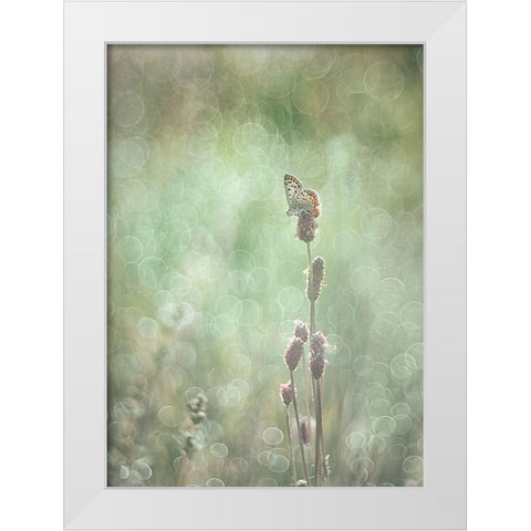 Bubbleliscious White Modern Wood Framed Art Print by Van Helden, Elisabeth