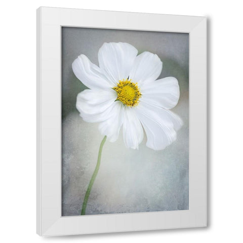 White Calliopsis White Modern Wood Framed Art Print by GaoSL