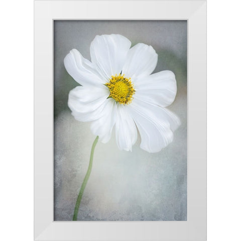White Calliopsis White Modern Wood Framed Art Print by GaoSL