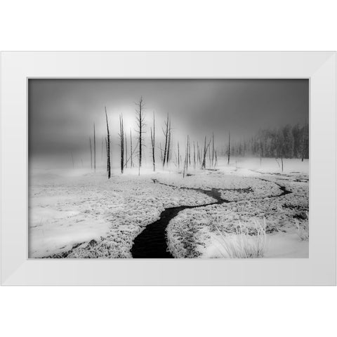 Winter Solstice White Modern Wood Framed Art Print by An, Anna