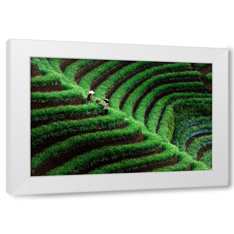 Majalengka Terasering White Modern Wood Framed Art Print by Bunjamin (Abe), Antonyus