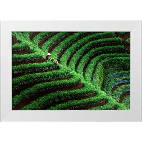 Majalengka Terasering White Modern Wood Framed Art Print by Bunjamin (Abe), Antonyus