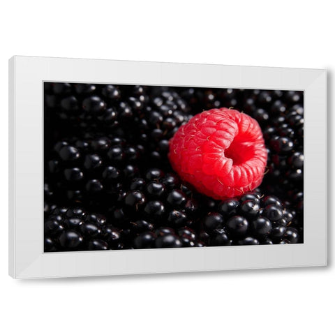Berry different White Modern Wood Framed Art Print by Sokac, Drazen