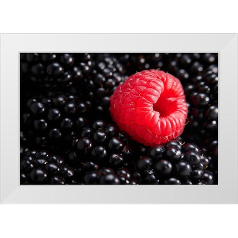 Berry different White Modern Wood Framed Art Print by Sokac, Drazen