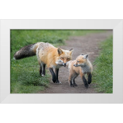 AÂ€ÂœI Catch You!AÂ€Â White Modern Wood Framed Art Print by Zhang, Joan