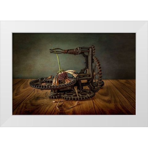 Going To Seed White Modern Wood Framed Art Print by Berberich, Matthew