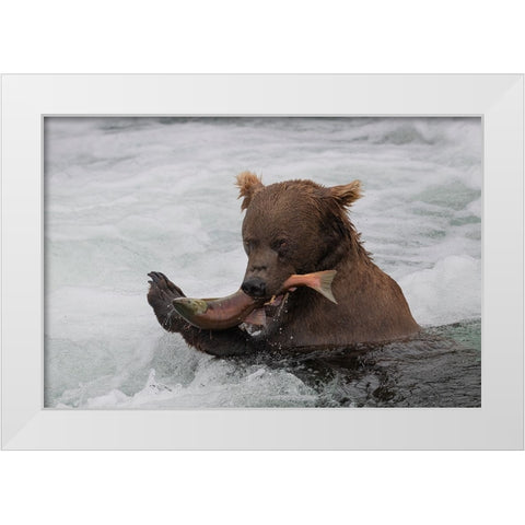 Fresh Salmon White Modern Wood Framed Art Print by Tracy