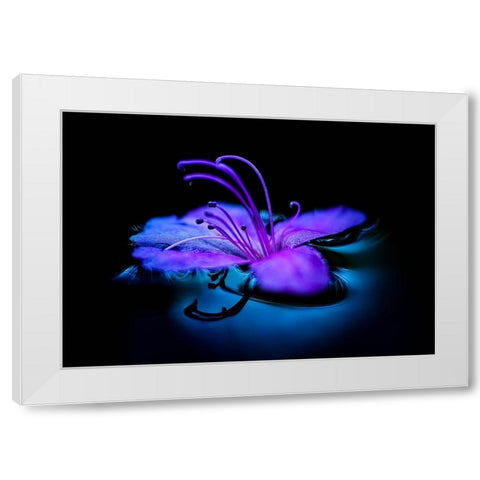 float White Modern Wood Framed Art Print by Kataoka, Shinichi