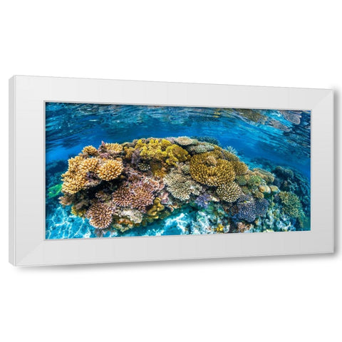 Panoreef White Modern Wood Framed Art Print by Gabriel, Barathieu