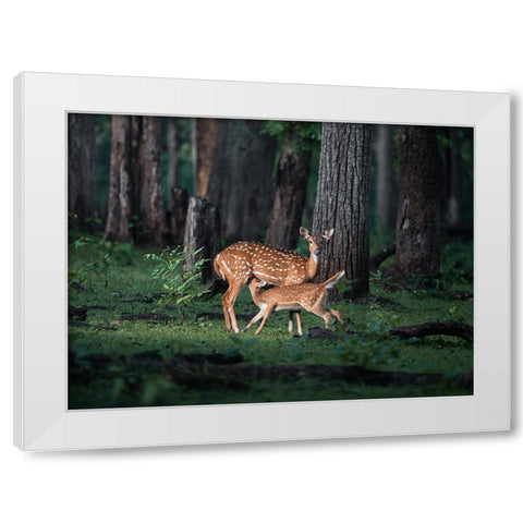 Sanctity Of Motherhood White Modern Wood Framed Art Print by Rawat, Chaitanya