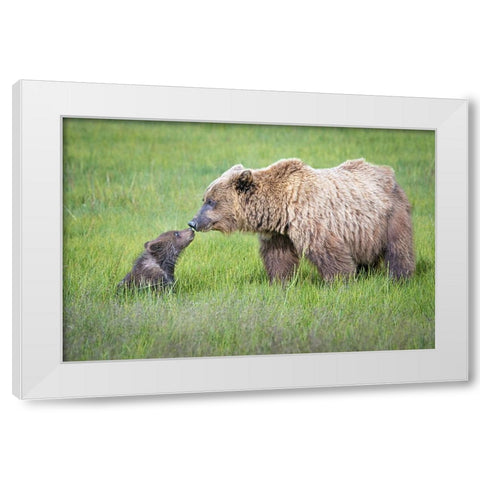 Not Seeing Eye To Eye.... White Modern Wood Framed Art Print by C. Sink, Jeffrey